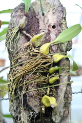 Killikus&reg; Fotographie